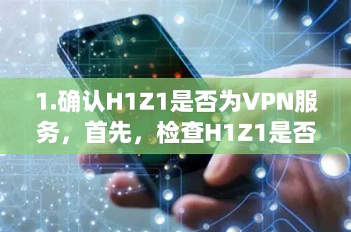 1.确认H1Z1是否为VPN服务，首先，检查H1Z1是否是一个知名的VPN服务。常见的VPN品牌包括Tunnel、VPCnet、Netnety等