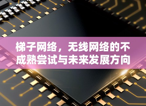 梯子网络，无线网络的不成熟尝试与未来发展方向