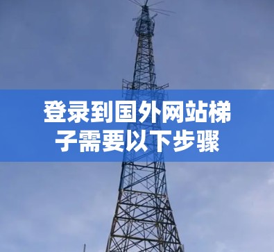 登录到国外网站梯子需要以下步骤