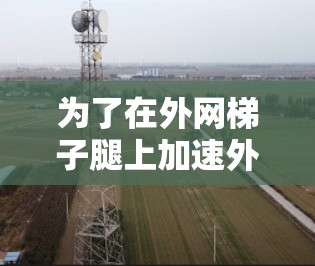 为了在外网梯子腿上加速外网数据，您可以按照以下步骤操作
