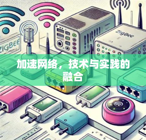 加速网络，技术与实践的融合