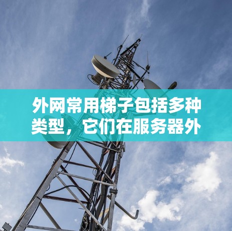 外网常用梯子包括多种类型，它们在服务器外使用时用于爬取、移动和安装设备，保障通信和数据的安全性。以下是常见的梯子类型及其用途