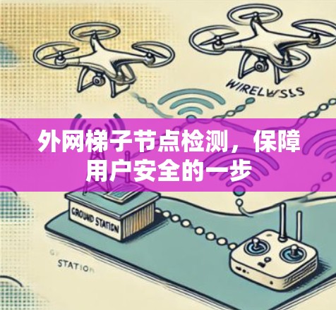 外网梯子节点检测，保障用户安全的一步