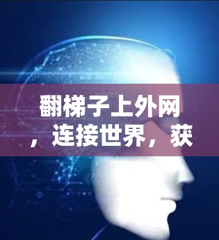 翻梯子上外网，连接世界，获取信息的便捷之道
