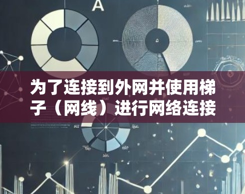 为了连接到外网并使用梯子（网线）进行网络连接，以下是一步步的指南