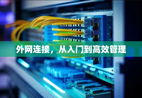 外网连接，从入门到高效管理