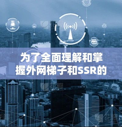 为了全面理解和掌握外网梯子和SSR的技术含义，以下是一个分步骤的总结
