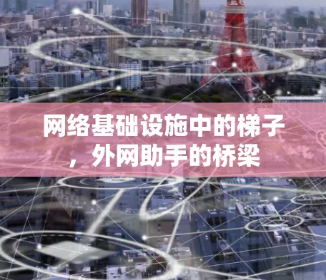 网络基础设施中的梯子，外网助手的桥梁