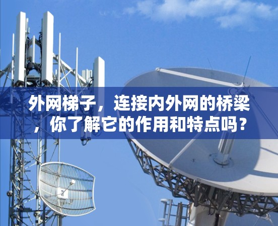 外网梯子，连接内外网的桥梁，你了解它的作用和特点吗？