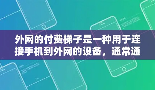 外网的付费梯子是一种用于连接手机到外网的设备，通常通过特定的密码或验证码进行操作，提供便利的在线上网服务。以下是关于付费梯子的详细信息