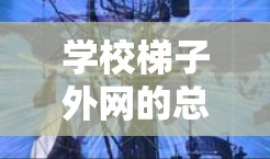 学校梯子外网的总费用计算需要综合考虑多个因素，包括购买价格、安装费用、维护费用、保险费用以及其他附加服务。以下是详细的步骤和计算方法