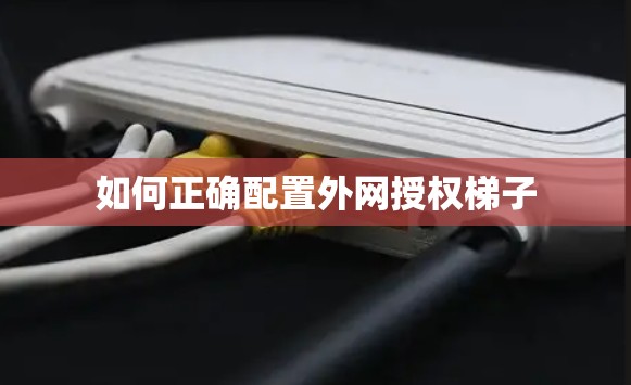 如何正确配置外网授权梯子