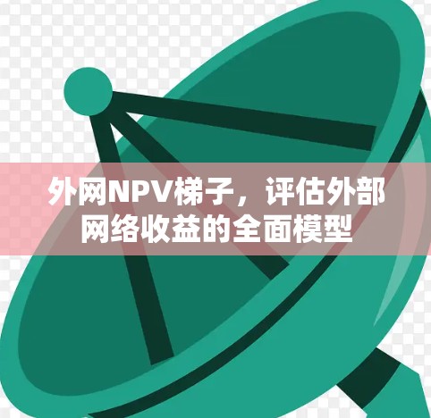 外网NPV梯子，评估外部网络收益的全面模型