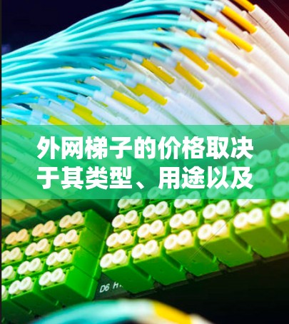 外网梯子的价格取决于其类型、用途以及地区。以下是一些常见的外网梯子类型及其价格范围
