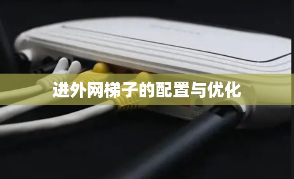 进外网梯子的配置与优化