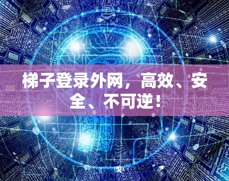 梯子登录外网，高效、安全、不可逆！