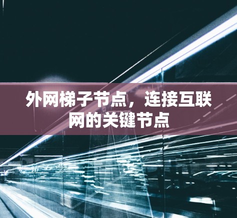 外网梯子节点，连接互联网的关键节点