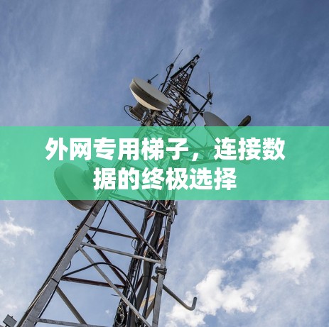 外网专用梯子，连接数据的终极选择