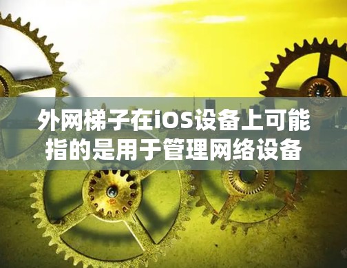 外网梯子在iOS设备上可能指的是用于管理网络设备或配置网络连接的工具。在iOS系统中，你可以使用多种方法来管理网络设备，例如通过设置或管理功能来管理网络连接和设备配置