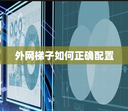 外网梯子如何正确配置