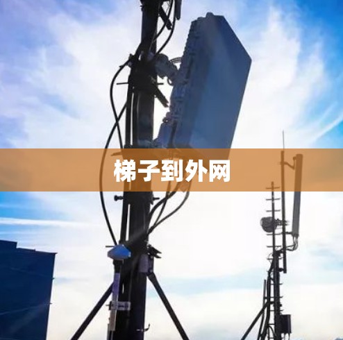 梯子到外网