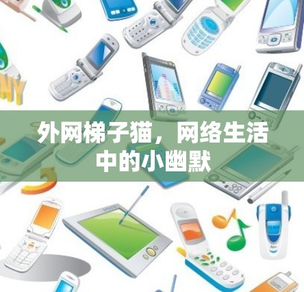 外网梯子猫，网络生活中的小幽默