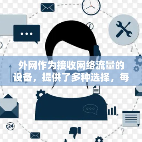 外网作为接收网络流量的设备，提供了多种选择，每个平台有不同的服务内容。以下是一些关键点，帮助你更好地选择外网