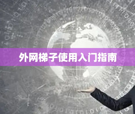 外网梯子使用入门指南