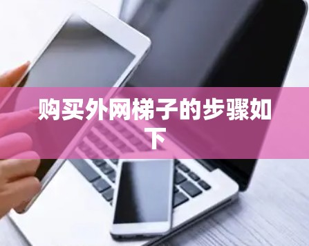 购买外网梯子的步骤如下