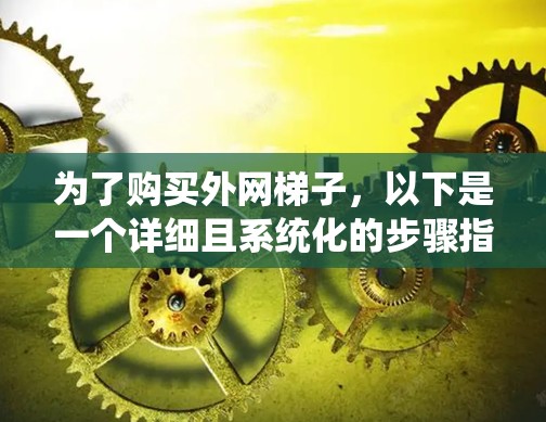 为了购买外网梯子，以下是一个详细且系统化的步骤指南