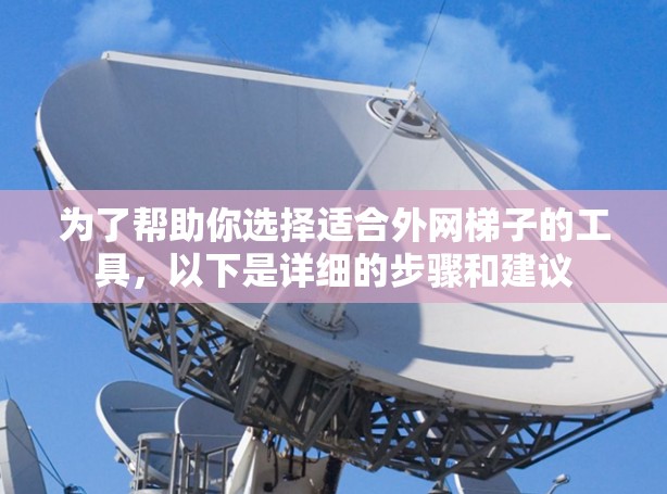 为了帮助你选择适合外网梯子的工具，以下是详细的步骤和建议