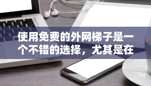 使用免费的外网梯子是一个不错的选择，尤其是在需要基本网络连接的情况下。然而，为了确保使用的安全和可靠，以下是一些关键点