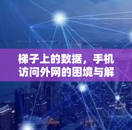 梯子上的数据，手机访问外网的困境与解决方案