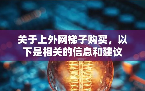 关于上外网梯子购买，以下是相关的信息和建议