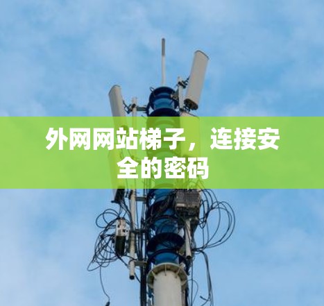 外网网站梯子，连接安全的密码