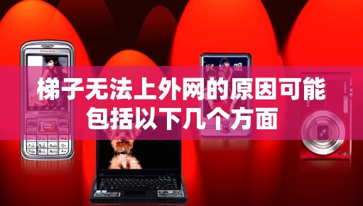 梯子无法上外网的原因可能包括以下几个方面