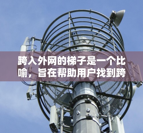 跨入外网的梯子是一个比喻，旨在帮助用户找到跨入外网的路径和步骤。以下是一个通用的解决方案