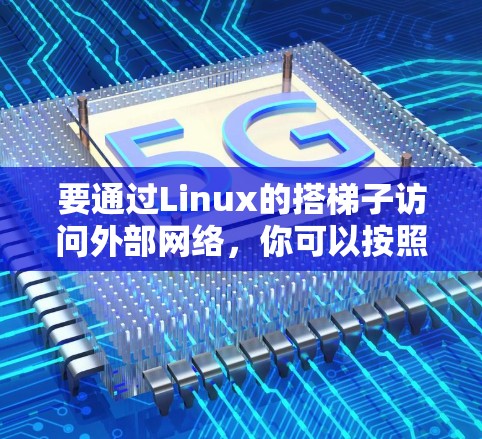要通过Linux的搭梯子访问外部网络，你可以按照以下步骤进行