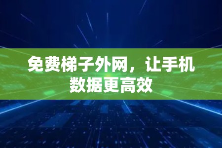 免费梯子外网，让手机数据更高效