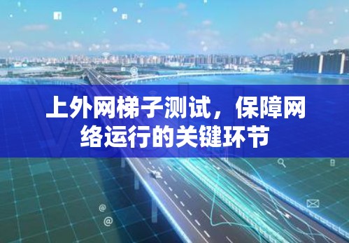 上外网梯子测试，保障网络运行的关键环节