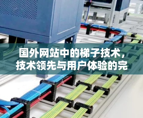 国外网站中的梯子技术，技术领先与用户体验的完美结合
