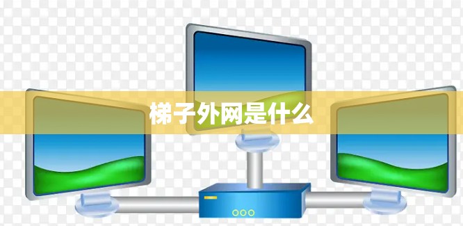 梯子外网是什么