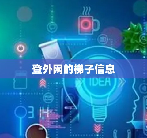 登外网的梯子信息