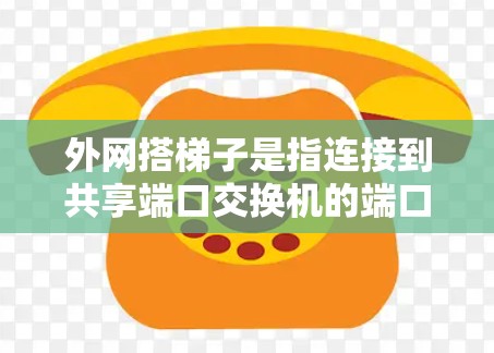 外网搭梯子是指连接到共享端口交换机的端口解决端口冲突的方法。以下是详细的步骤