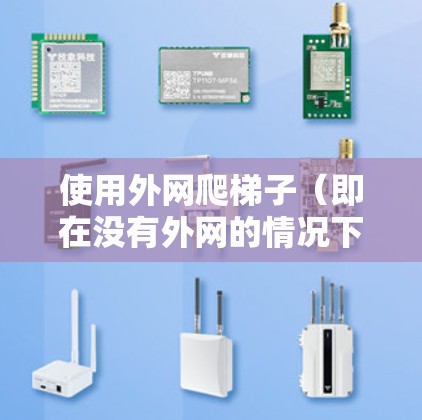 使用外网爬梯子（即在没有外网的情况下遍历网络资源）是一个相对简单但需要考虑多方面因素的计算机任务。以下是详细的步骤指南