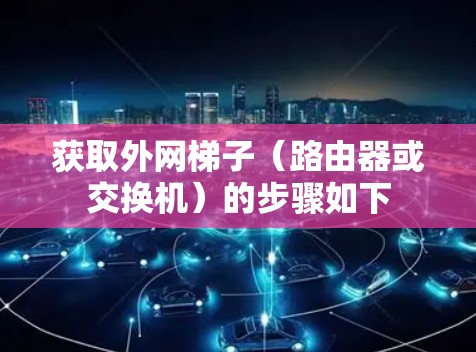 获取外网梯子（路由器或交换机）的步骤如下