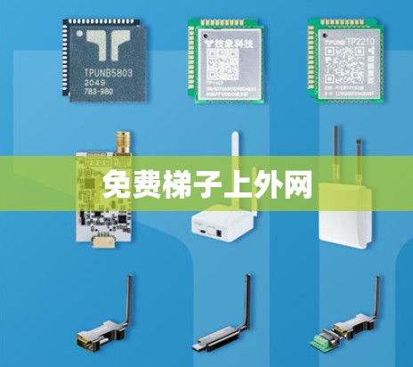免费梯子上外网