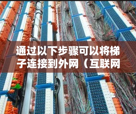 通过以下步骤可以将梯子连接到外网（互联网）
