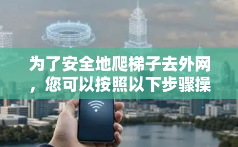 为了安全地爬梯子去外网，您可以按照以下步骤操作