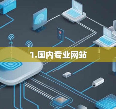 1.国内专业网站